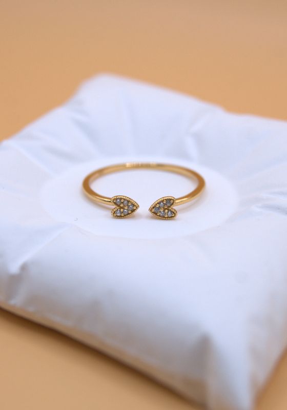 Twin Hearts Ring 52str